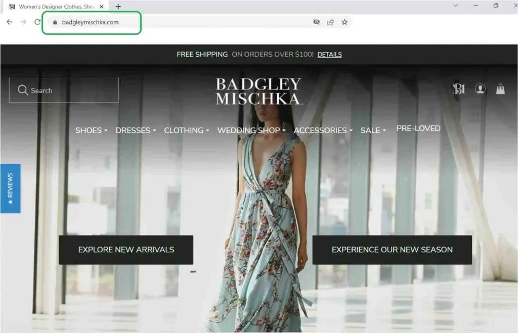 Comment changer de nom de domaine Shopify ?