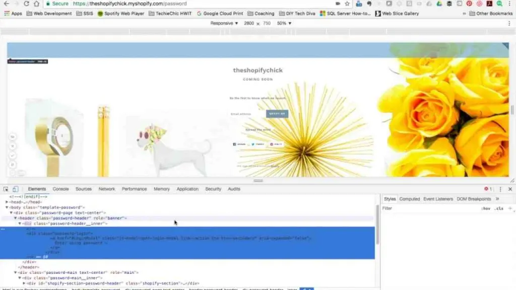 Comment changer l'adresse email de sa boutique Shopify ?