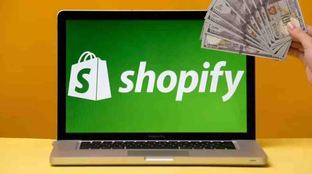 Do Shopify stores make money? [year]