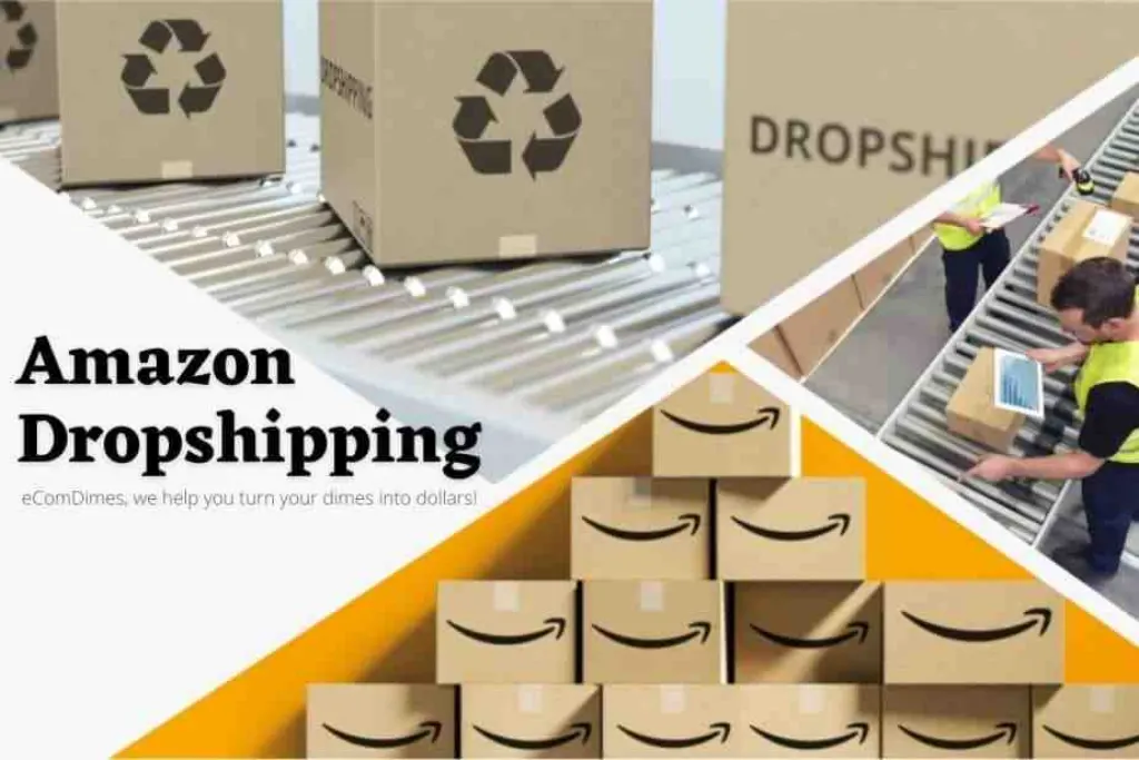 How much does the average dropshipper earn? [year]