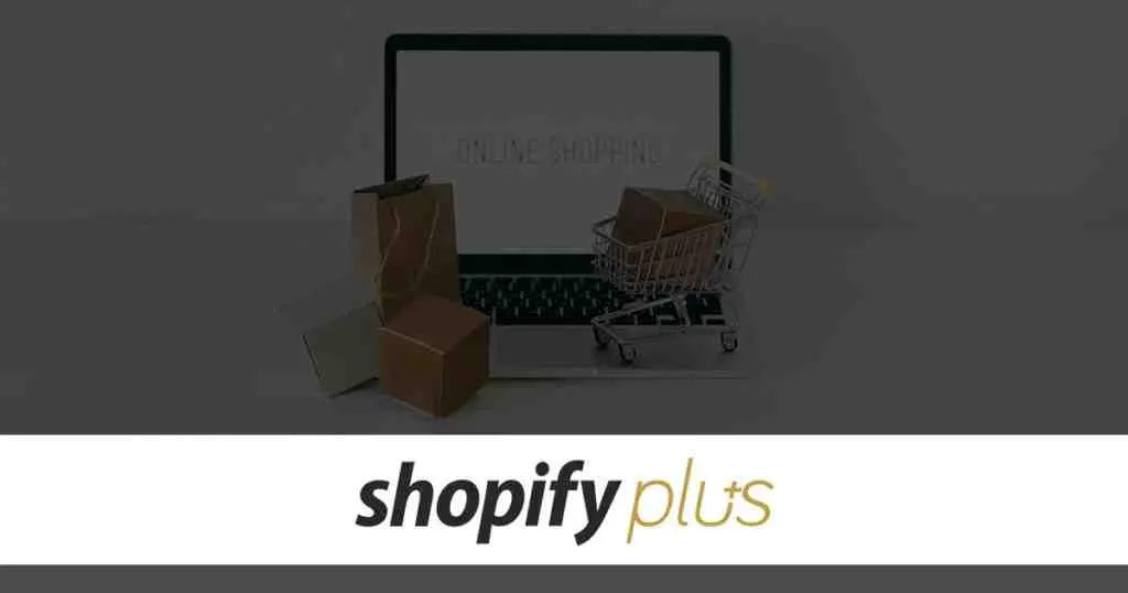 Is Shopify good for B2B?