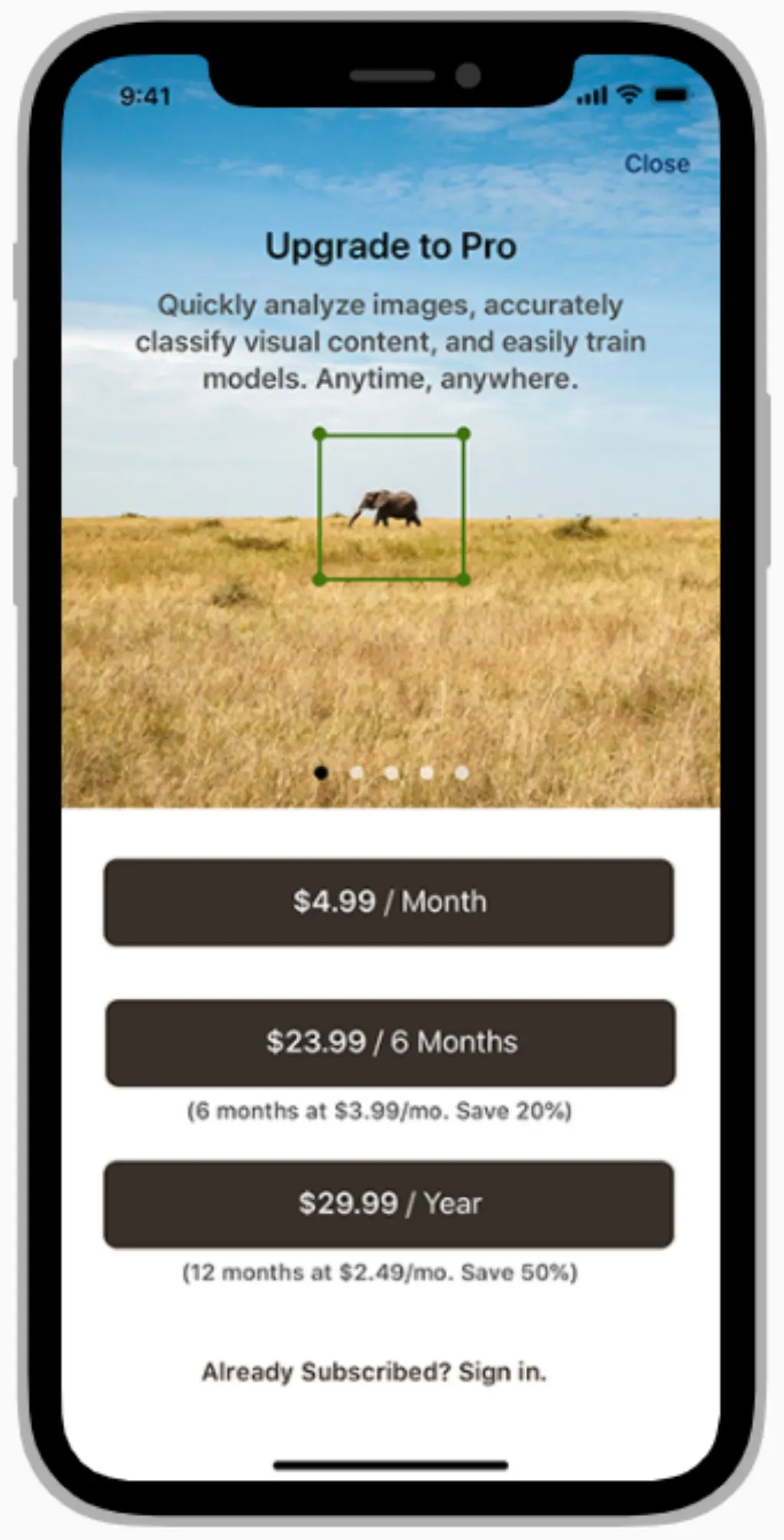 Is shop pay a payment processor?