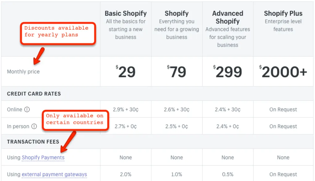 What can I use instead of Shopify payments?