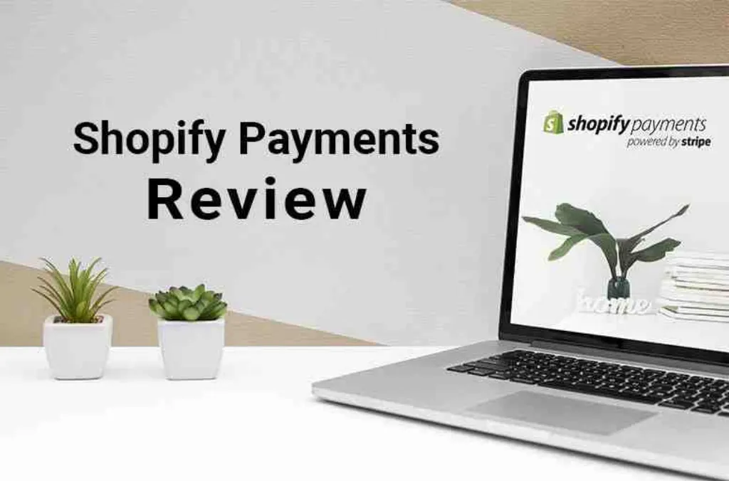 What is considered a Shopify payment?