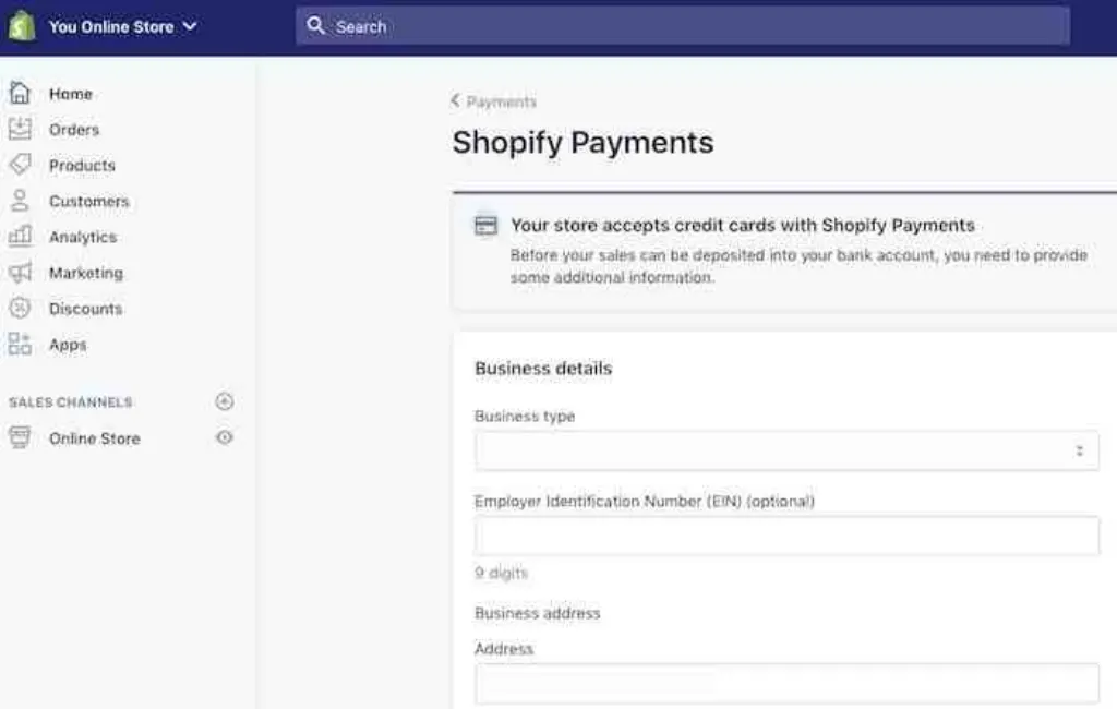 What payment providers does Shopify use?