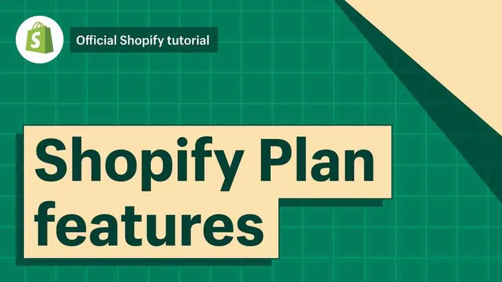 Where does my Shopify money go?
